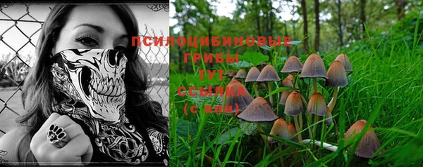 молекула духа Белоозёрский
