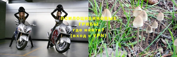 марки lsd Белокуриха