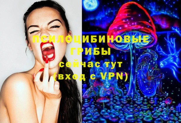 молекула духа Белоозёрский
