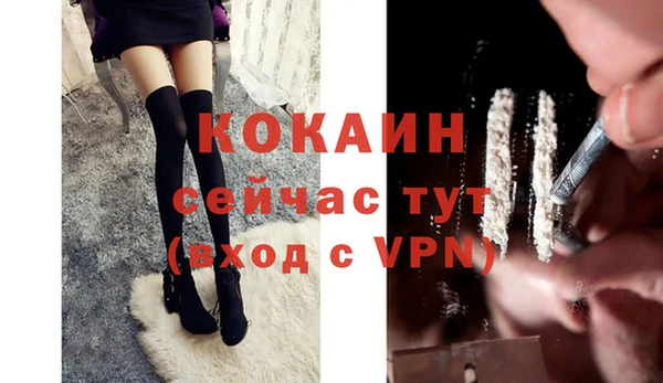 молекула духа Белоозёрский