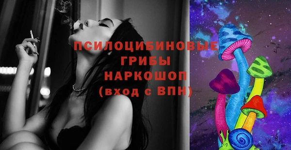 молекула духа Белоозёрский